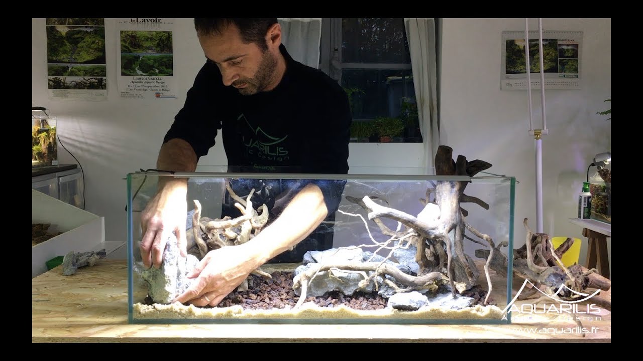 Aquascaping двухсторонний аквариум: Rhino VS Octopus от Laurent Garcia