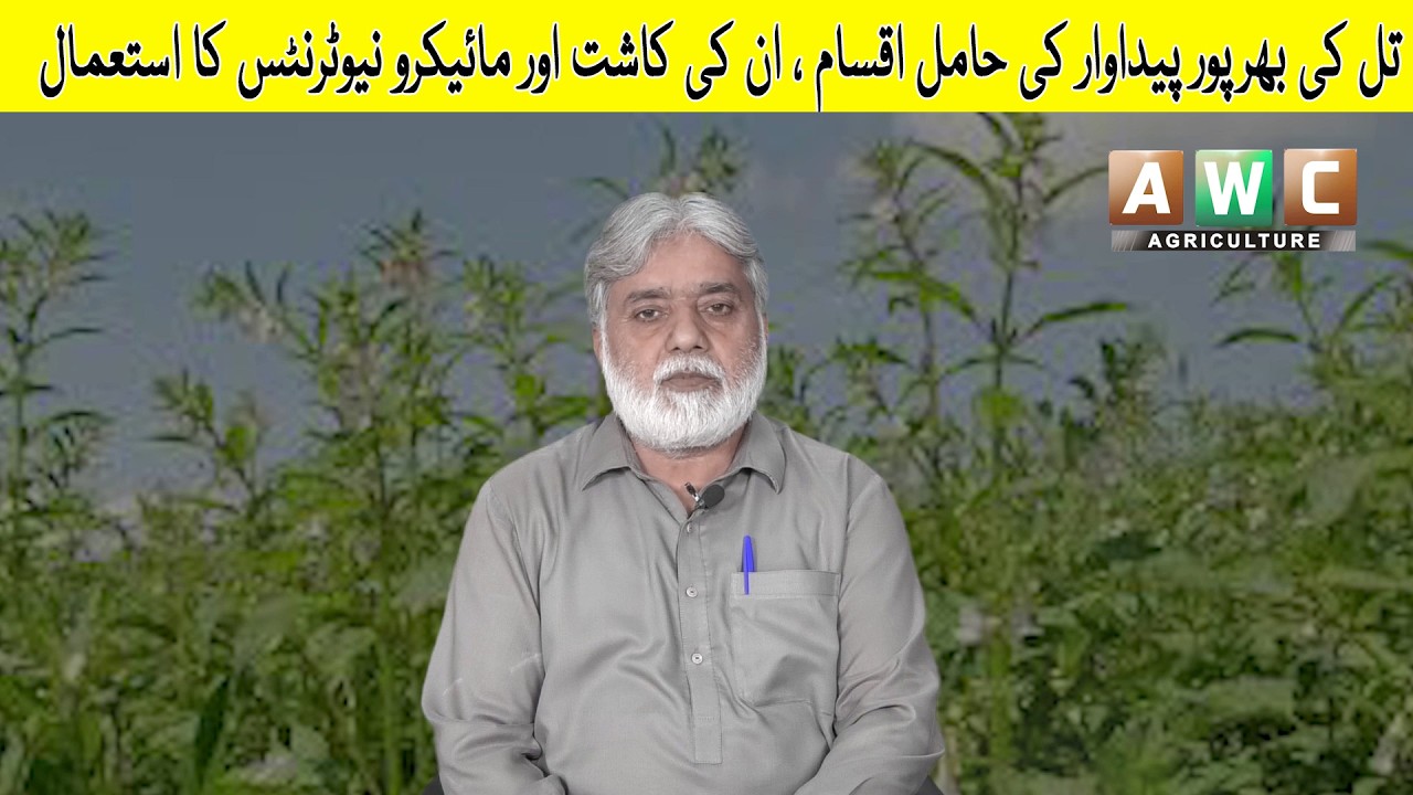 Til bharpoor pedawari iqsam, in ki kasht aour micronutrients ka istamal