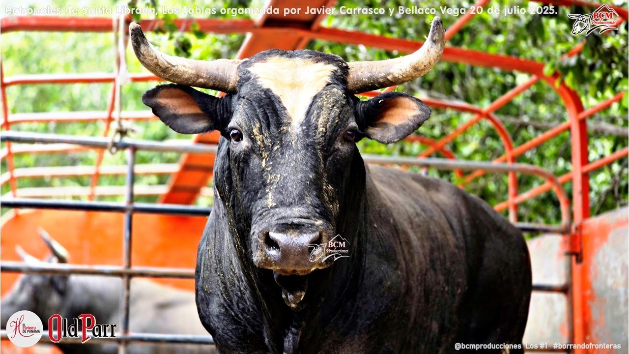 Patronales de Santa Librada, Las Tablas organizada por Javier Carrasco y Bellaco Vega 20 de julio 25