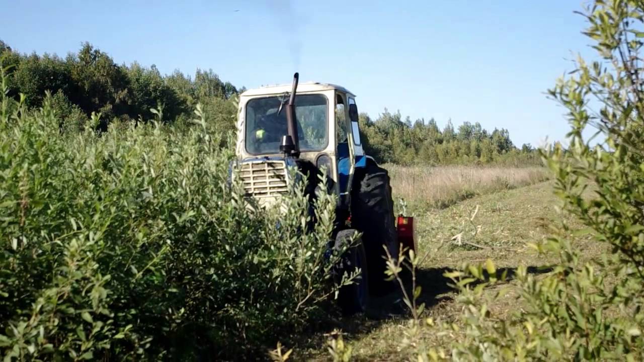 JUMZ with maschio mulcher at work part 6