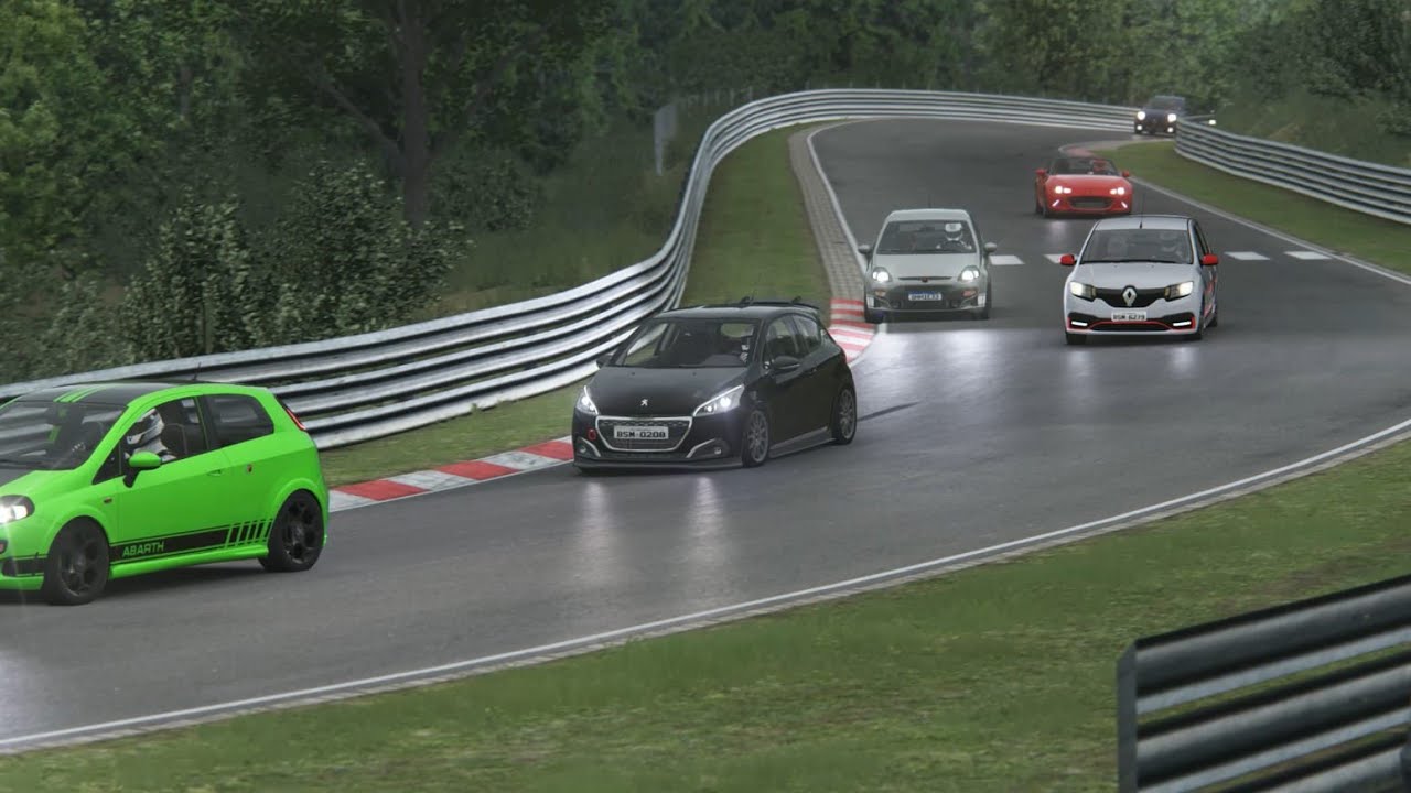 Assetto Corsa - Peugeot 208 GTI (Nordschleife) P1