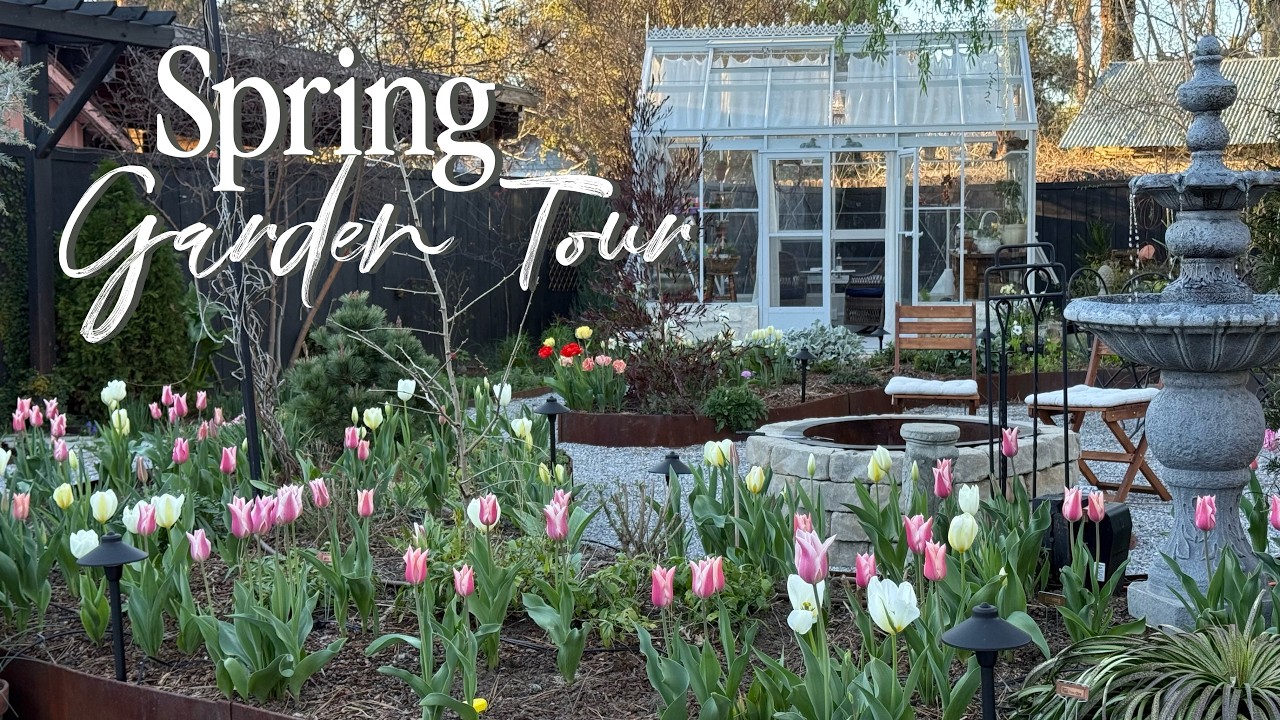 Spring Garden Tour While the Tulips and Daffodils Are Blooming 🌷