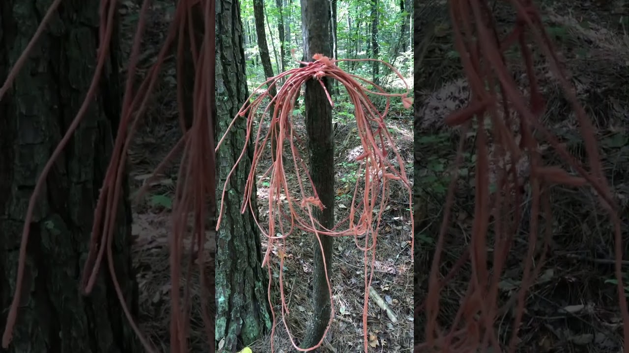 Do You Know Any Crafting Uses For Bale Twine?
