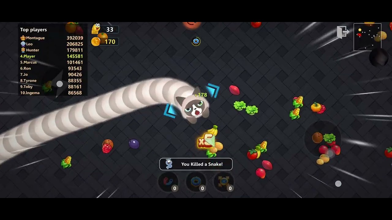 New World Record in Worms Zone.ioPro Skills ON FIREUnlimited KillsPro Gamer Domination