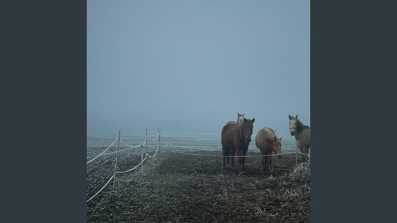 Winter Light