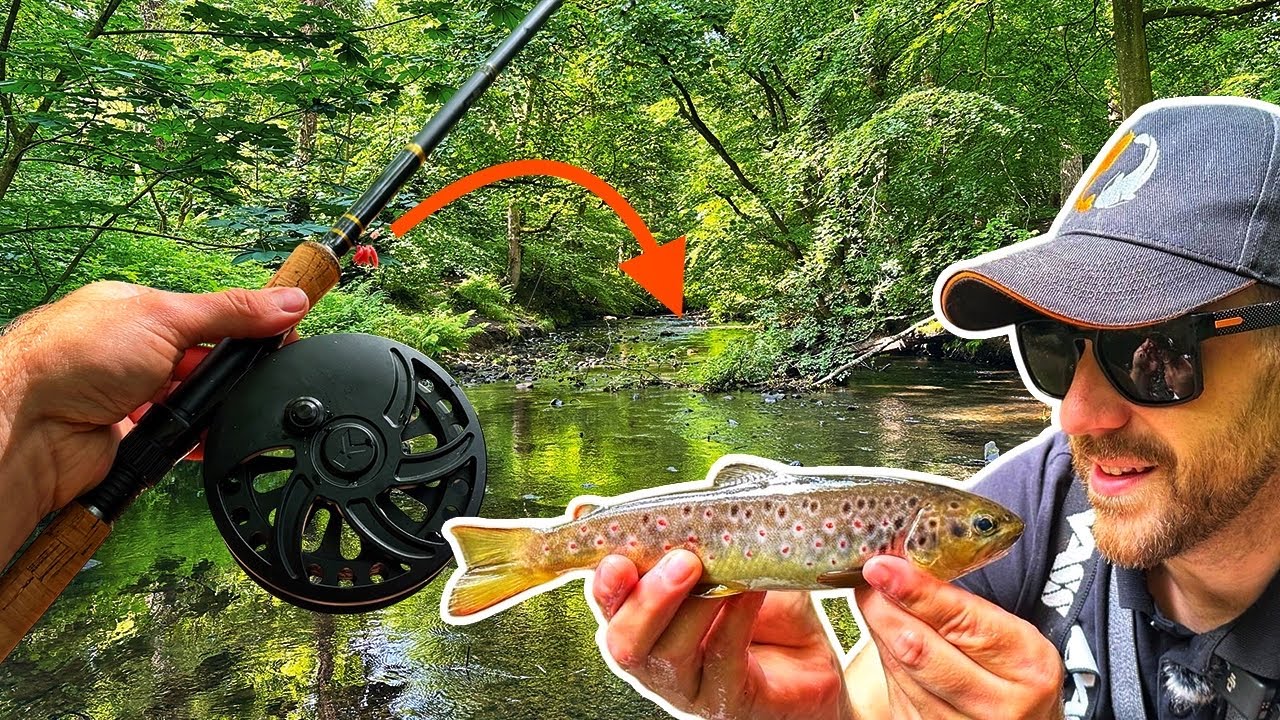 This Little Creek Is PACKED With Trout!