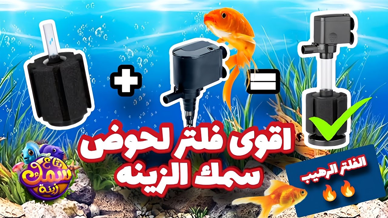 فلتر رهيب لحوض سمك الزينه🔥