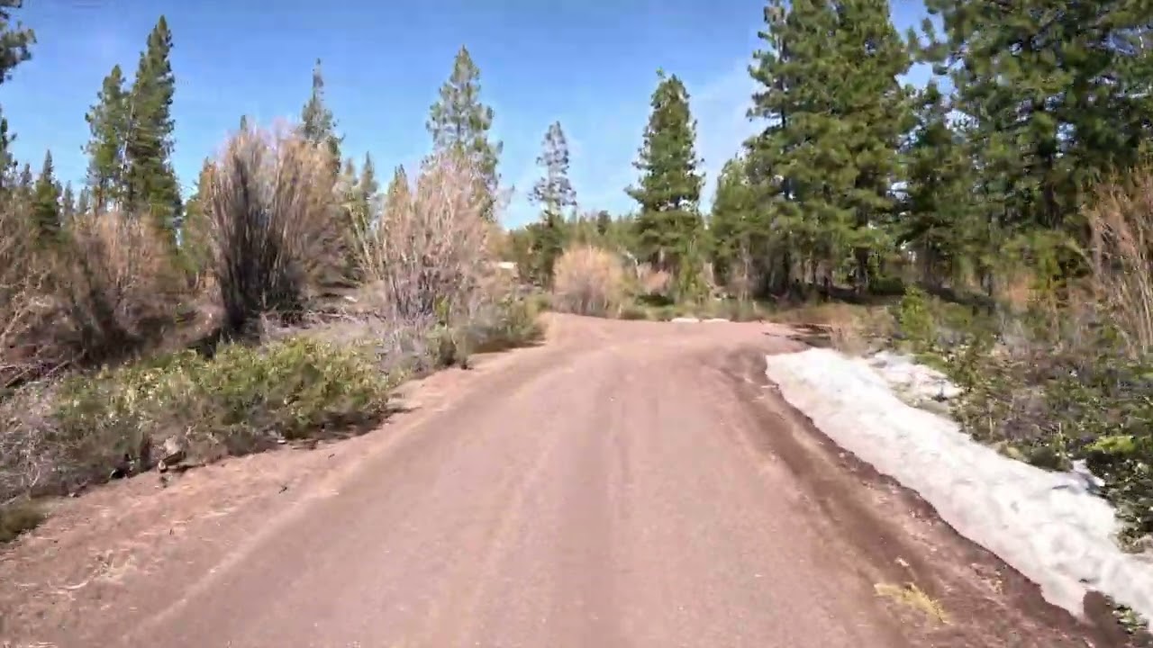 Oregon BDR Sec3 training Lava cast forest/ 9720