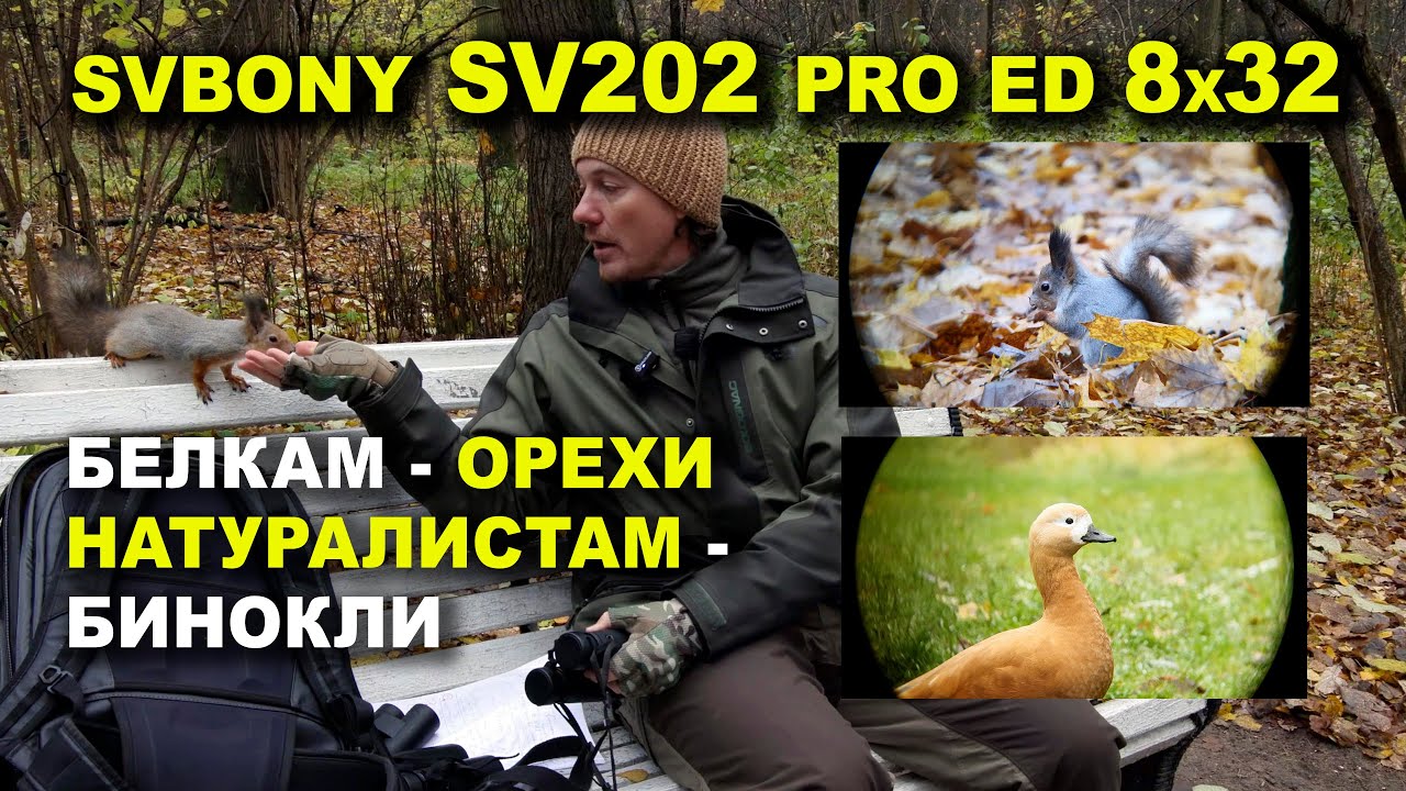 Обзор Бинокля SVBONY SV202 Pro ED 8x32