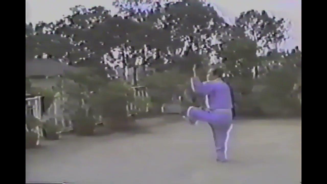 Mộc bản pháp | KỸ THUẬT VOVINAM VIỆT VÕ ĐẠO 1994