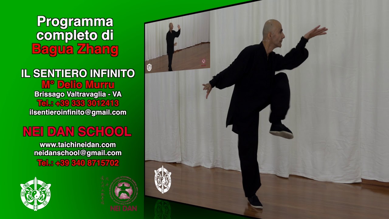 Nei Dan: il programma completo del Bagua Zhang