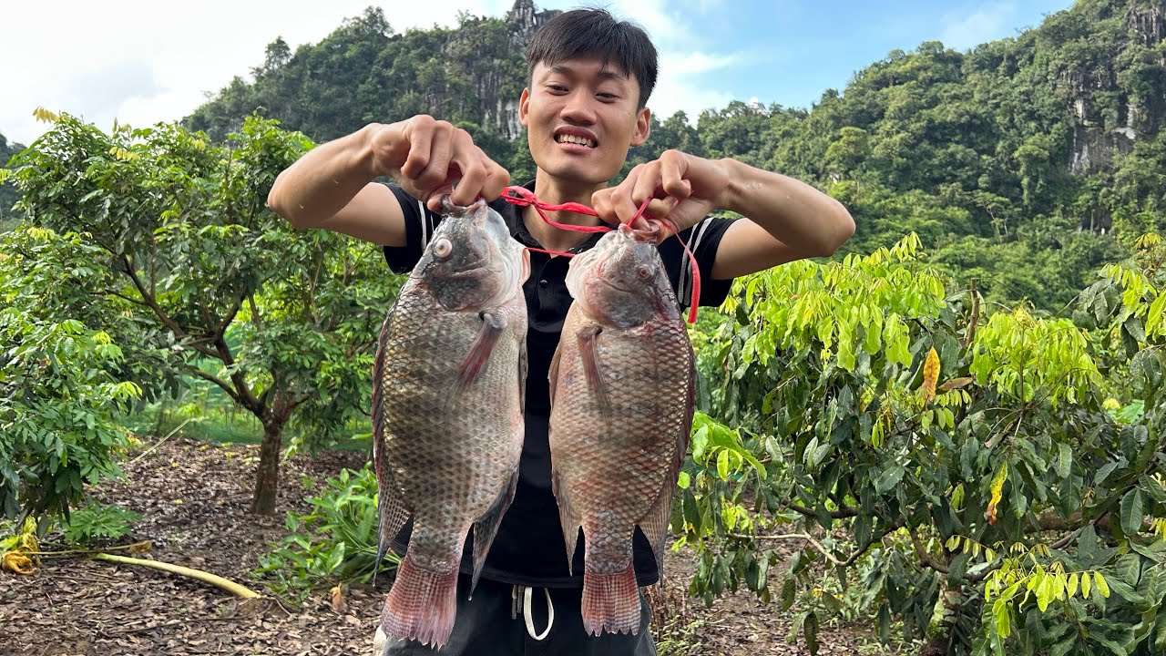 ẨM THỰC NHỮNG NGÀY MƯA GIÓ TRÊN MIỀN NÚI - Bùi Văn Trọng ( Nhịp Sống Miền Núi )