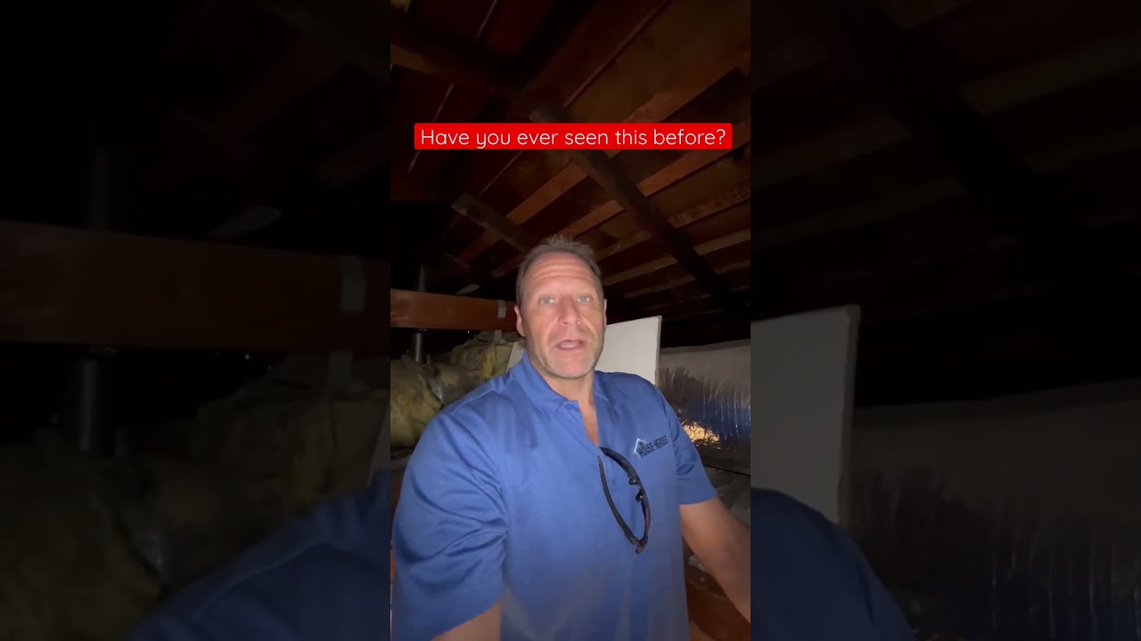 Sandbox in your attic? #sandbox #insulation #perlite #homeinspector #homeinspection #realtorlife