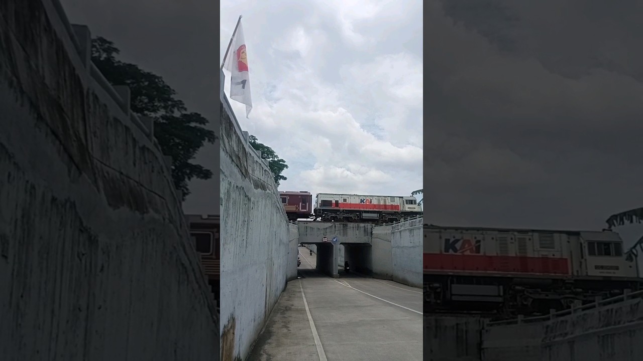 loko CC201 bawa gerbong wisata rombongan | HAYANG JAJAN #shorts #dj #train #kereta #keretaapi