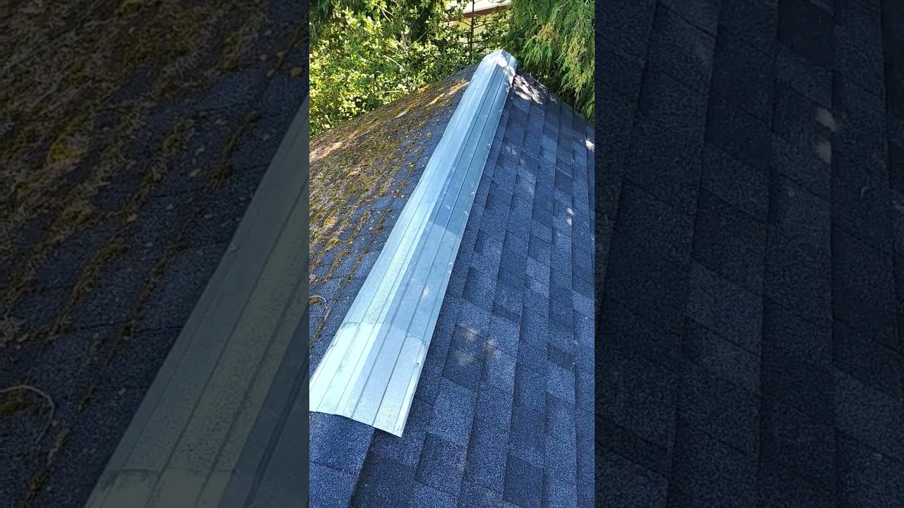 A little secret to virtually remove moss once and for all.