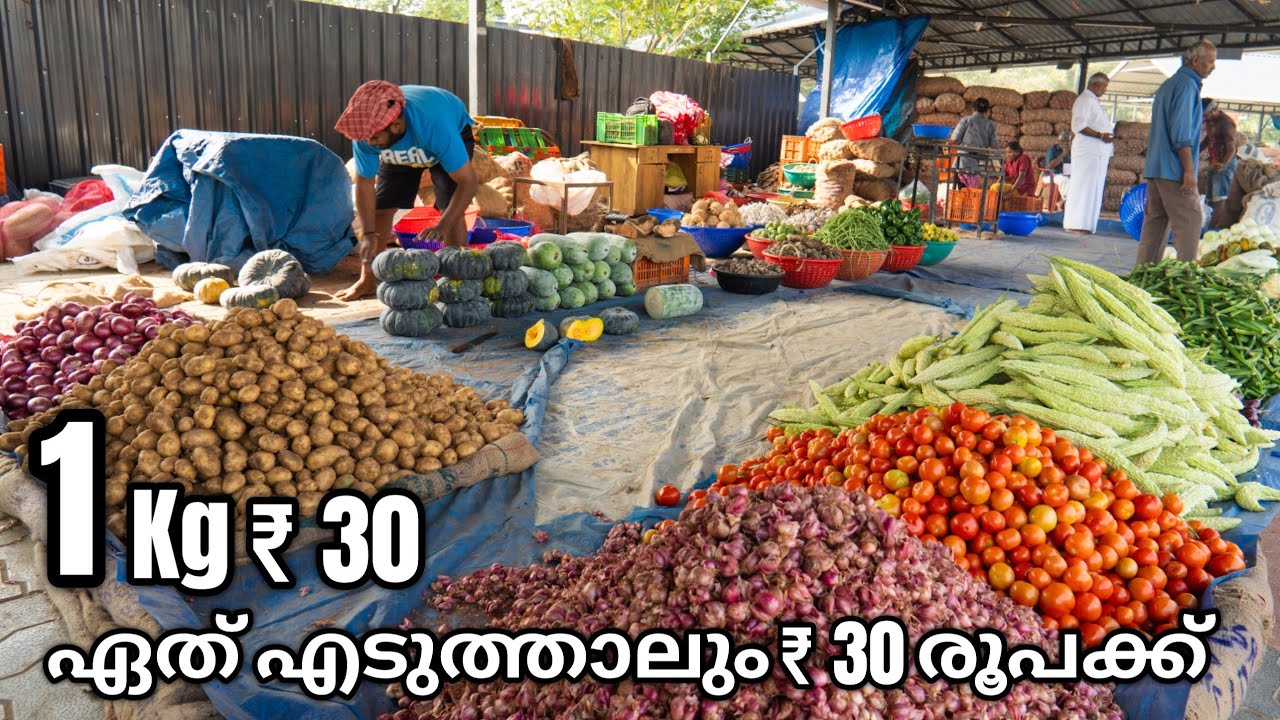 Palakkad New Vegetables Market | Wholesale Vegetables Market in Kerala | Palakkad Market | Vegetable