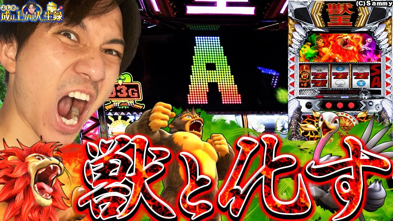 【沖ドキトロピカル、獣王】蘇る記憶！懐かしの5号機実践！【よしきの成り上がり人生録第359話】[パチスロ][スロット]#よしき