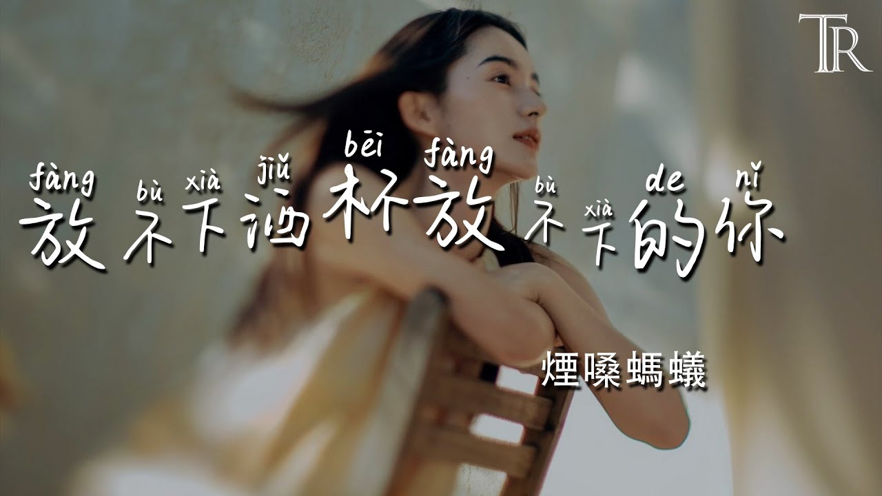 放不下酒杯放不下的你 - 煙嗓螞蟻『Fang Bu Xia Jiu Bei Fang Bu Xia De Ni - Yan Sang Ma Yi』#無損音樂