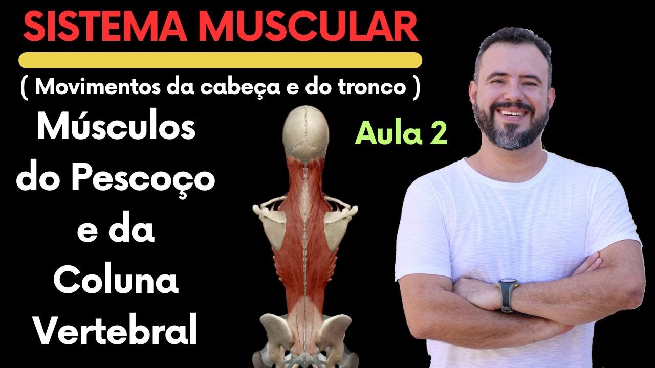 Aula 2 - MÚSCULOS DO PESCOÇO E COLUNA VERTEBRAL | MOVIMENTOS DO TRONCO | #enem  #anatomiahumana