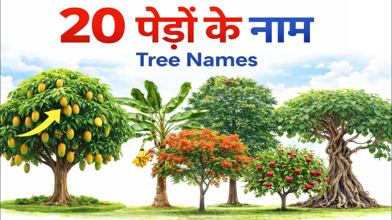 20 पेड़ों के नाम 🌳 | Tree Names for Kids | Learn Trees in Hindi & English