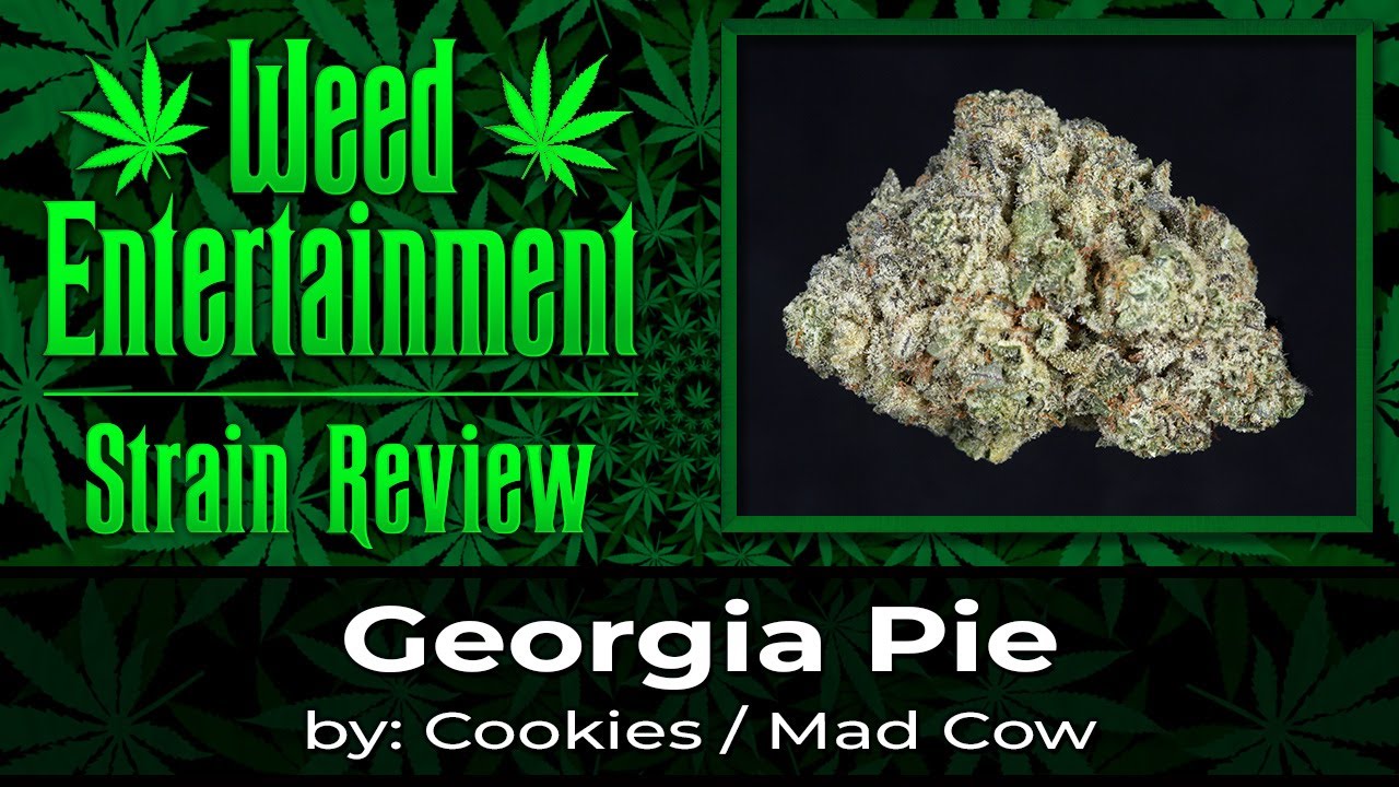 Georgia Pie - by Cookies / Mad Cow - Strain Review - November 2022
