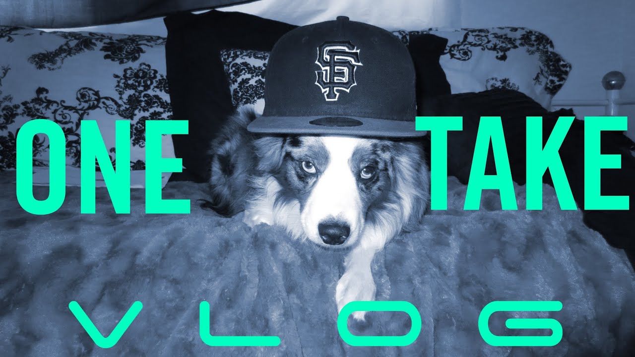 FiRST ONE TAKE VLOG !