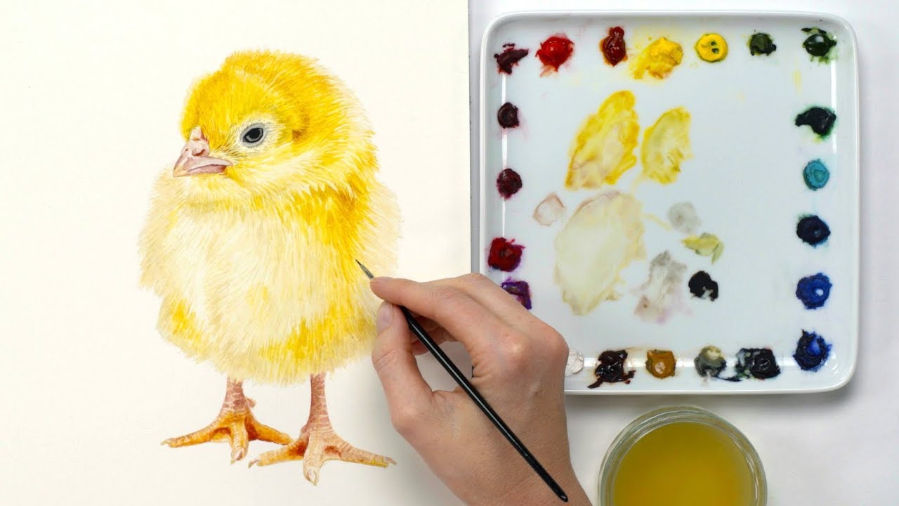 How to paint a realistic Easter chick in watercolour with Anna Mason