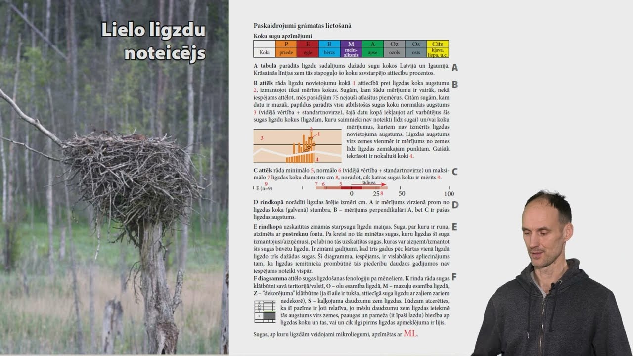 Mežu elementi: lielās ligzdas. Stāsta Jānis Ķuze