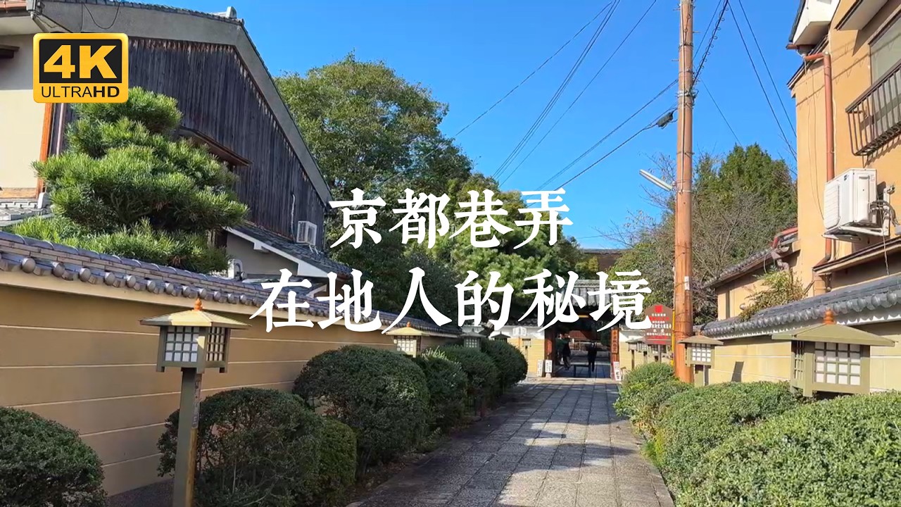 【京都一人旅 EP36】京都巷弄隱藏景點！四個避開人潮的市區幽靜風景 | 石像寺、法輪寺、大報恩寺、涉成園