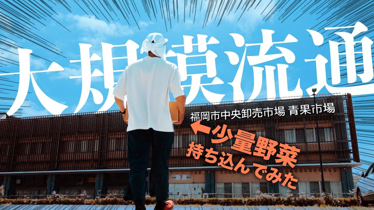 少量の菜園野菜を大規模流通にのせてみたら●●円になった！！【市場流通のしくみ】