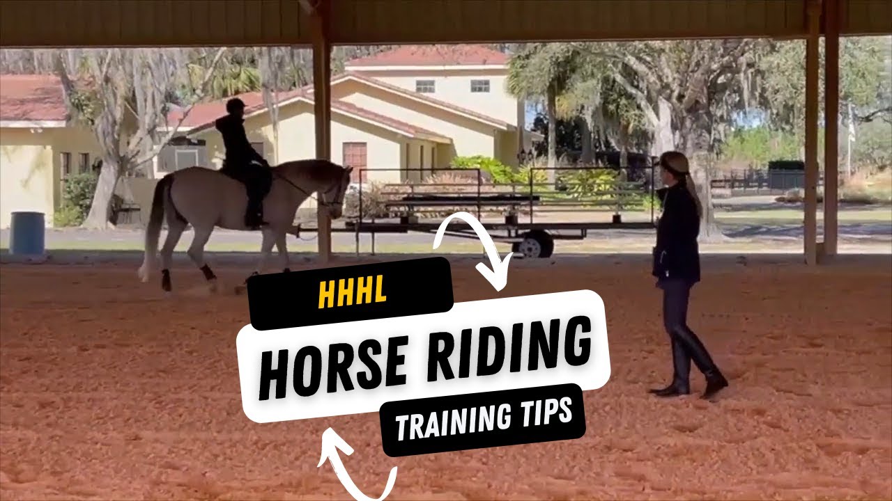 Horse riding training tips || Most important video || Lessons with Linda