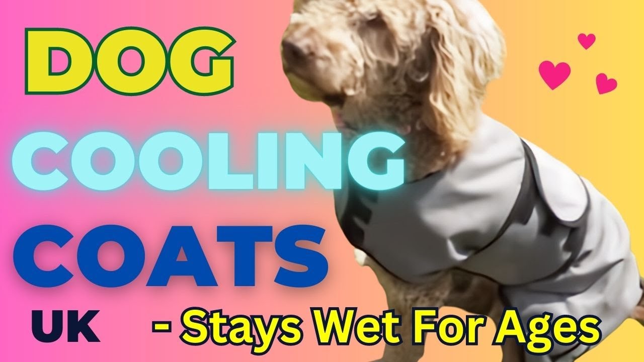Dog Cooling Coats UK - Stays Wet For Ages | Pet Devotion