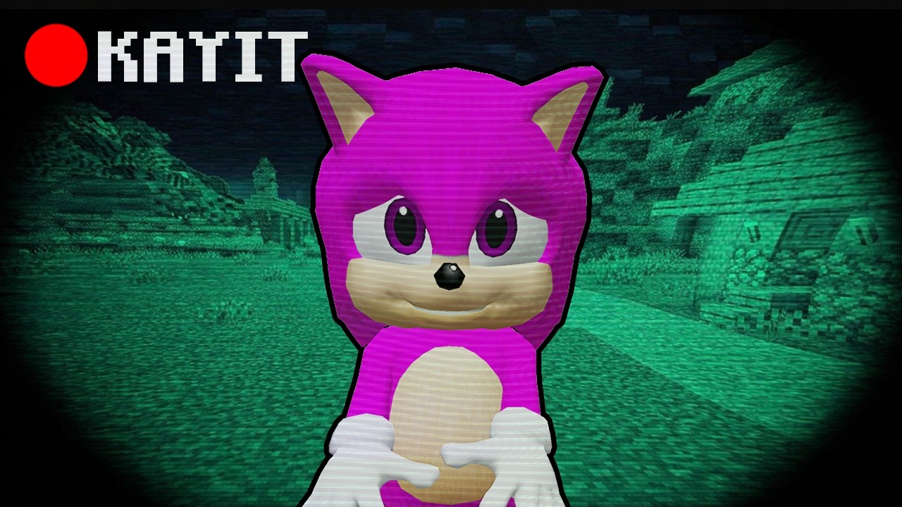 KIZ BEBEK SONİC GERÇEK Mİ? -Minecraft