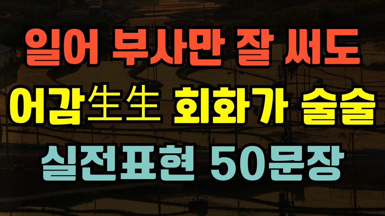 [블라블라 일본어] 일본어 회화가 자연스러워지는 부사 표현 50문장
