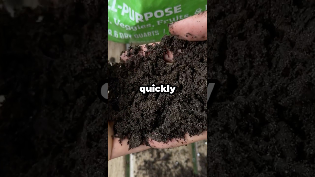 Why Should You Avoid Cheap Soil and Peat Moss? #shorts