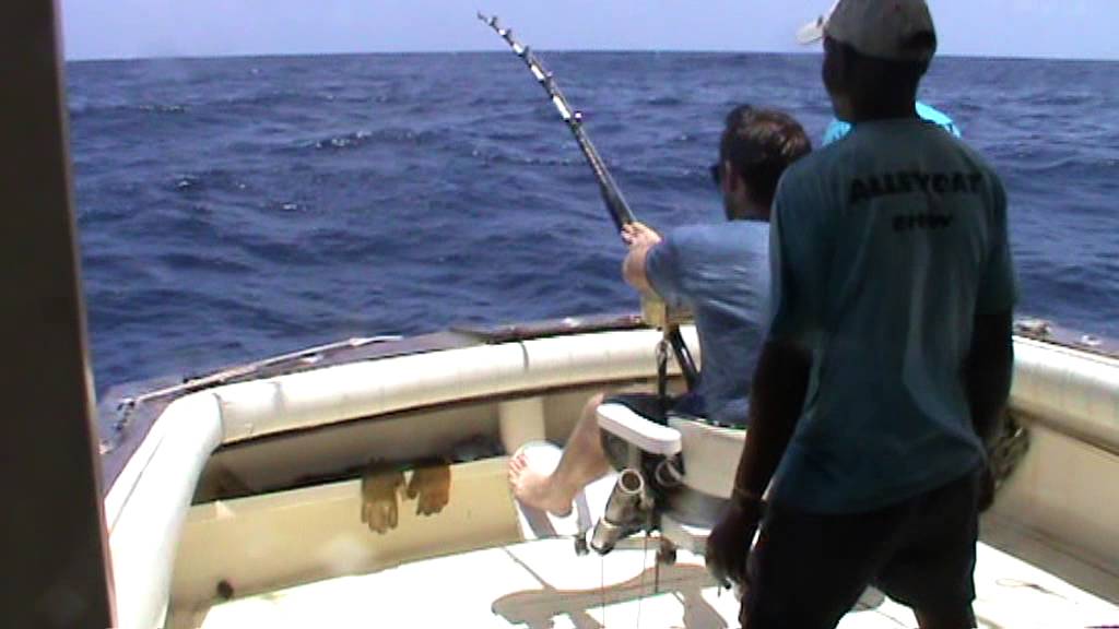 500lb Blue Marlin part 5