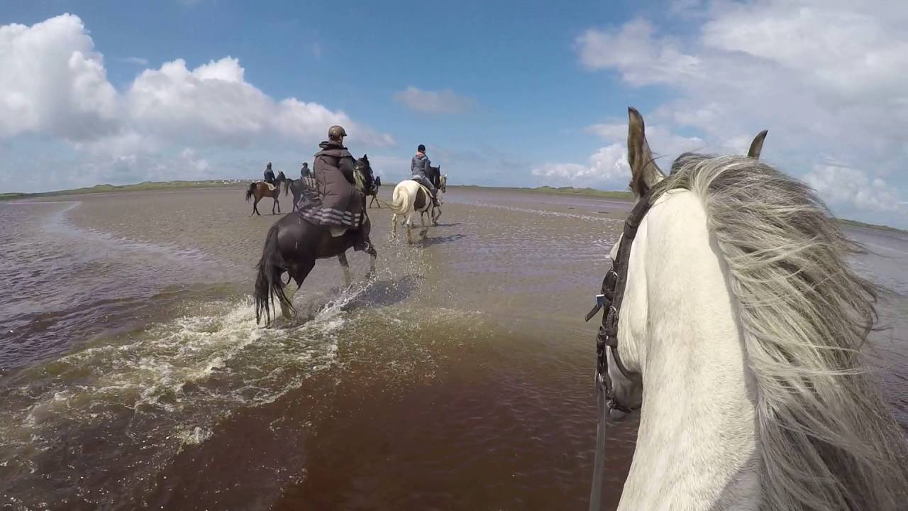 Irland.....Wasser und Galopp