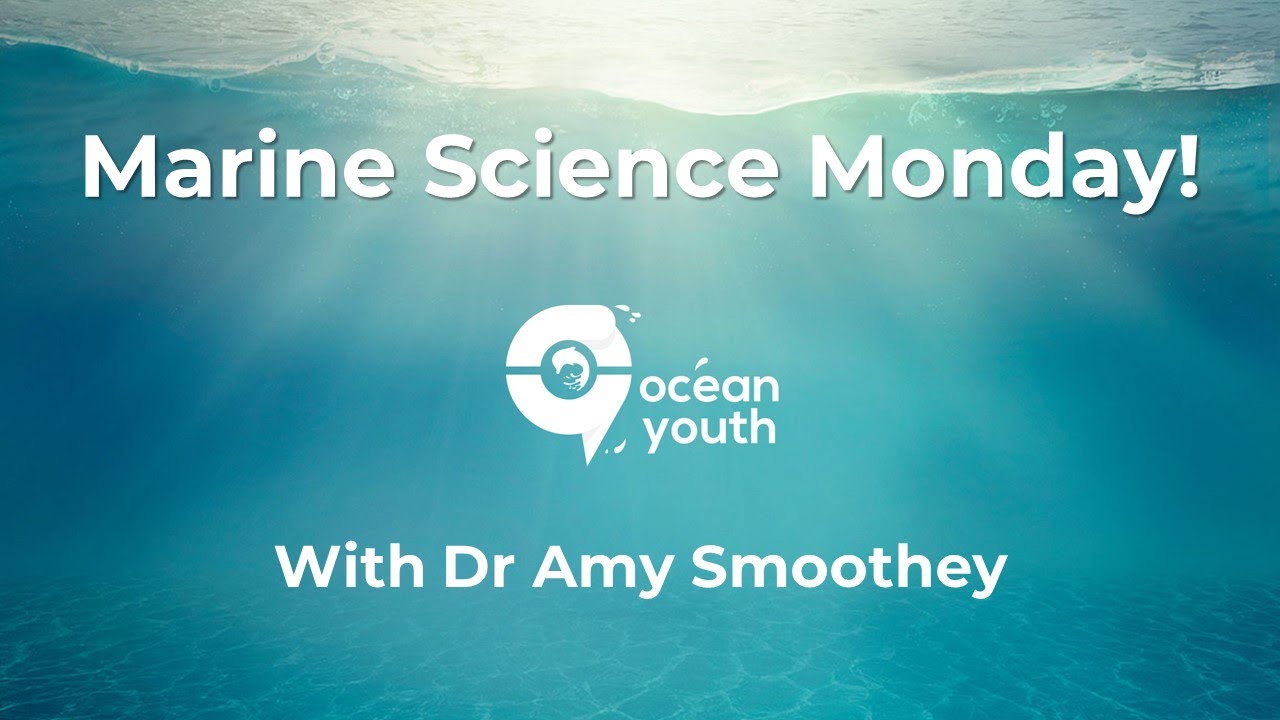 Marine Science Monday with Dr Amy Smoothey