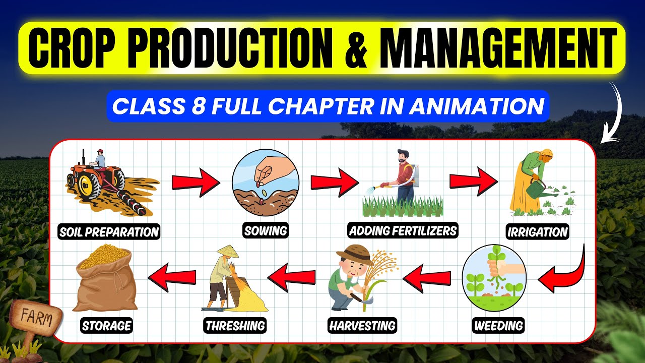 Class 8 Science | Crop Production and Management | Full Chapter Explained 🌱👨&zwj;🌾