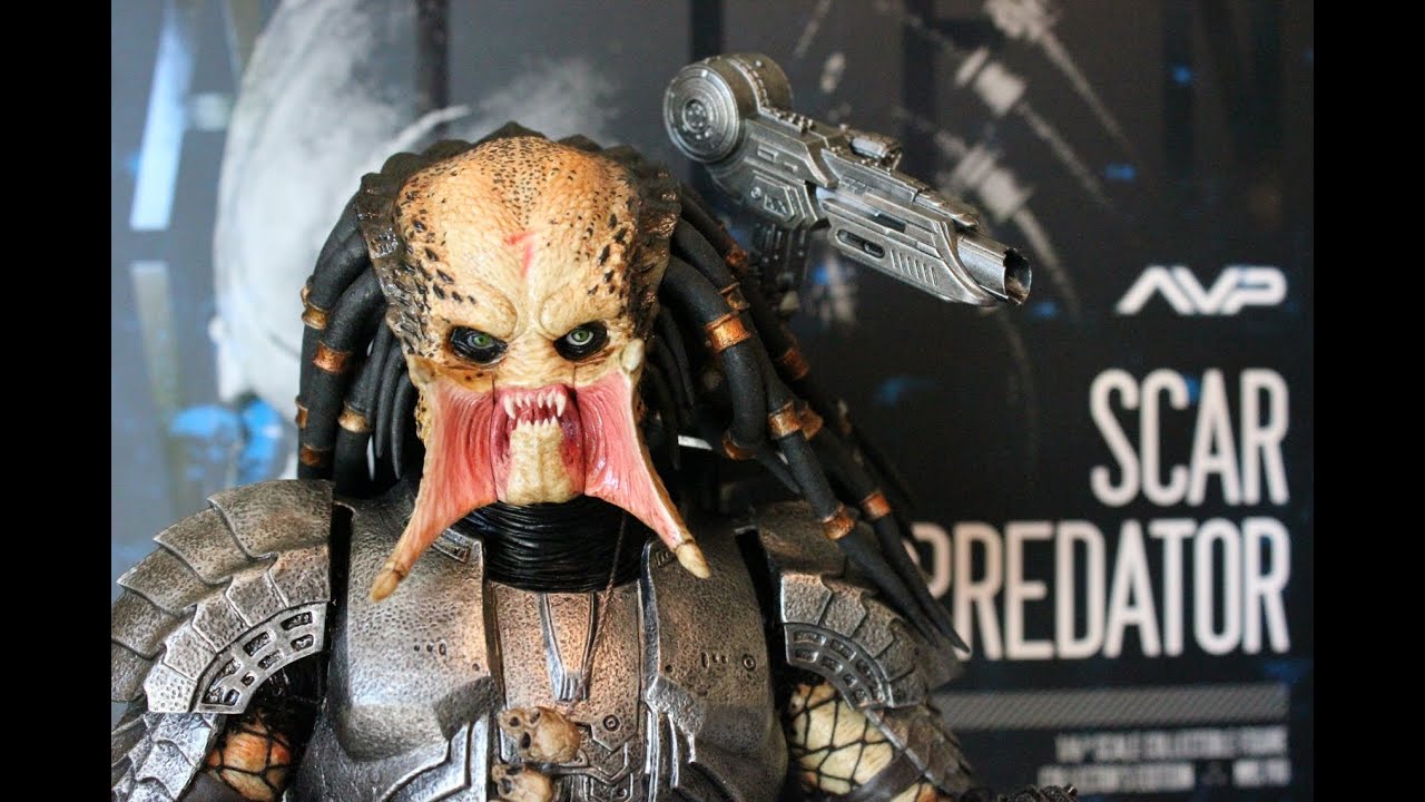 Scar Predator AVP Hot Toys figure review