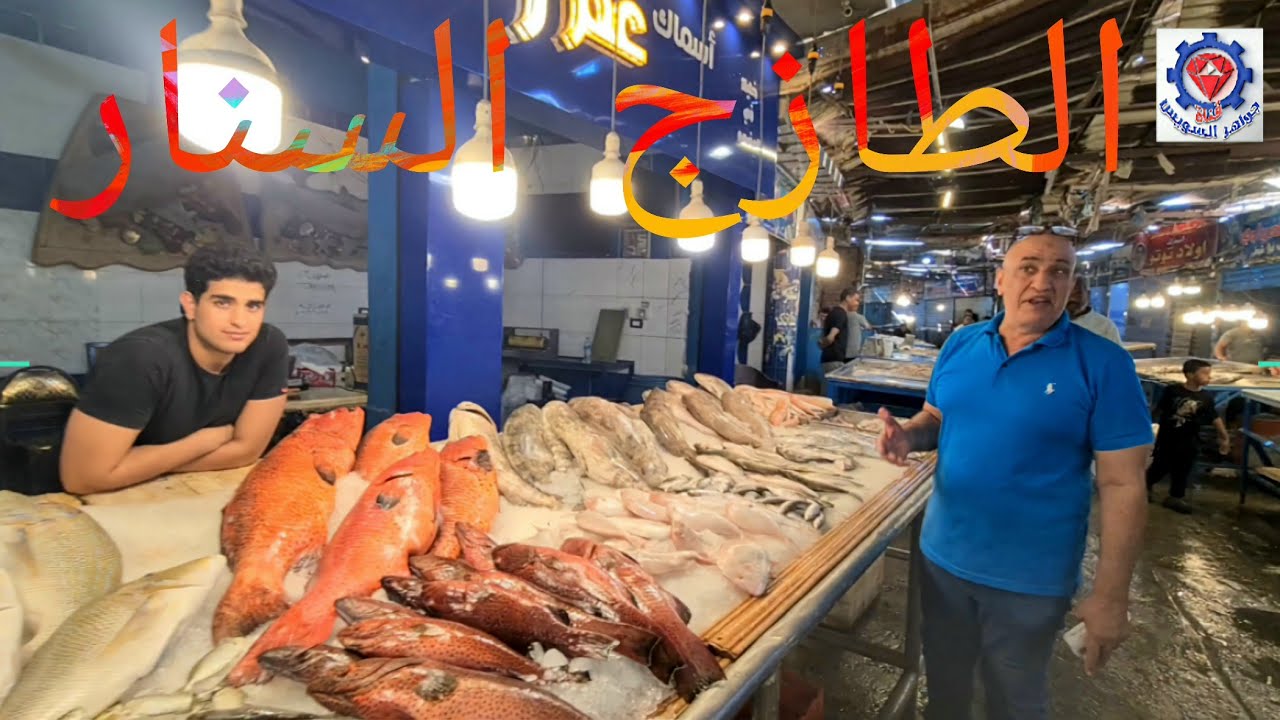 @ متع نظرك بأجود سمك متميز أسماك البحر الأحمر مع عم زغلول بسوق السمك بالأنصاري بالسويس. 