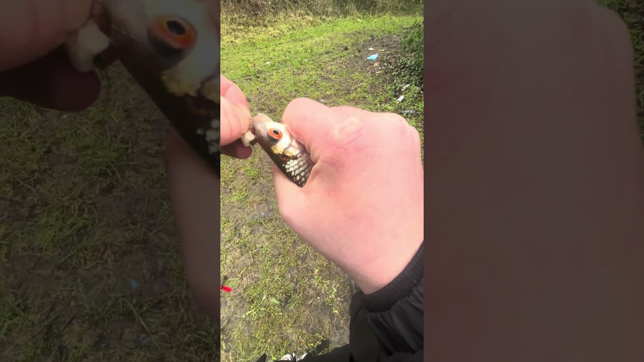 Float fishing