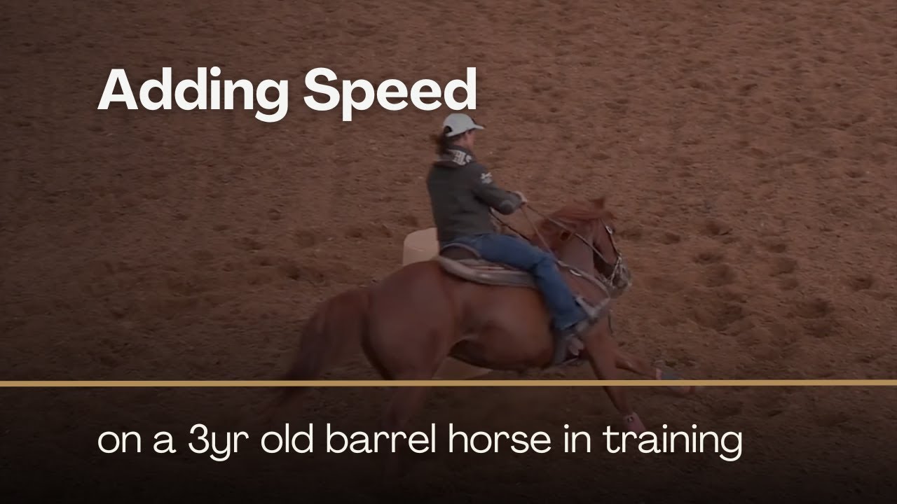 Addiing Speed on a 3yr Old Barrel Horse in Training with Jolene Montgomery on Between The Reins