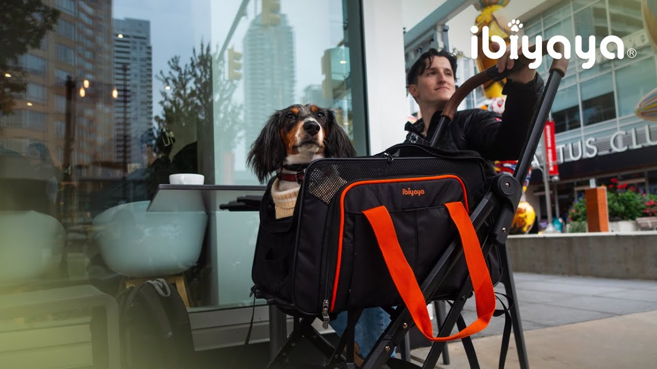 JetPaw 3-in-1 TSA Approved Pet Stroller | Elevate pet travel to a whole new level @traveldogbodhi