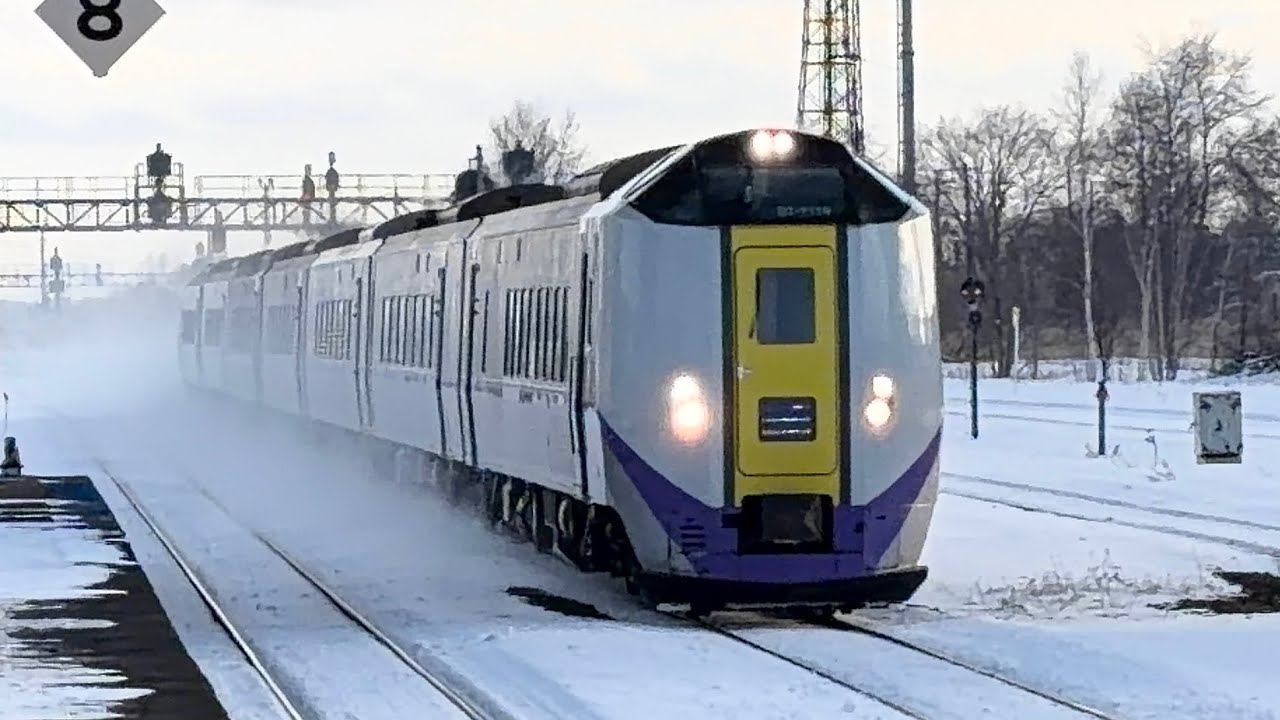 冬の追分駅を発着するキハ261系特急とかち６号、通過する特急おおぞら7号6.号［JR北海道/室蘭本線］ #JR北海道 #室蘭本線 #キハ261系 #特急列車 #特急おおぞら #特急とかち 