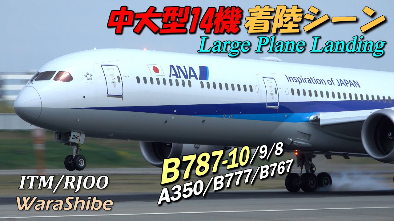 伊丹空港 B787-10と中大型機14連続着陸シーン | 4K Landing Touchdown in Osaka ITAMI Airport Plane Spotting