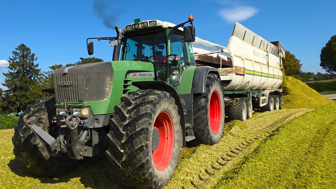 Traktoren wie am Stachus ! Hohes Verkehrsaufkommen im Mais-Silo mit Fendt 930 TMS + 2 Volvo Radlader