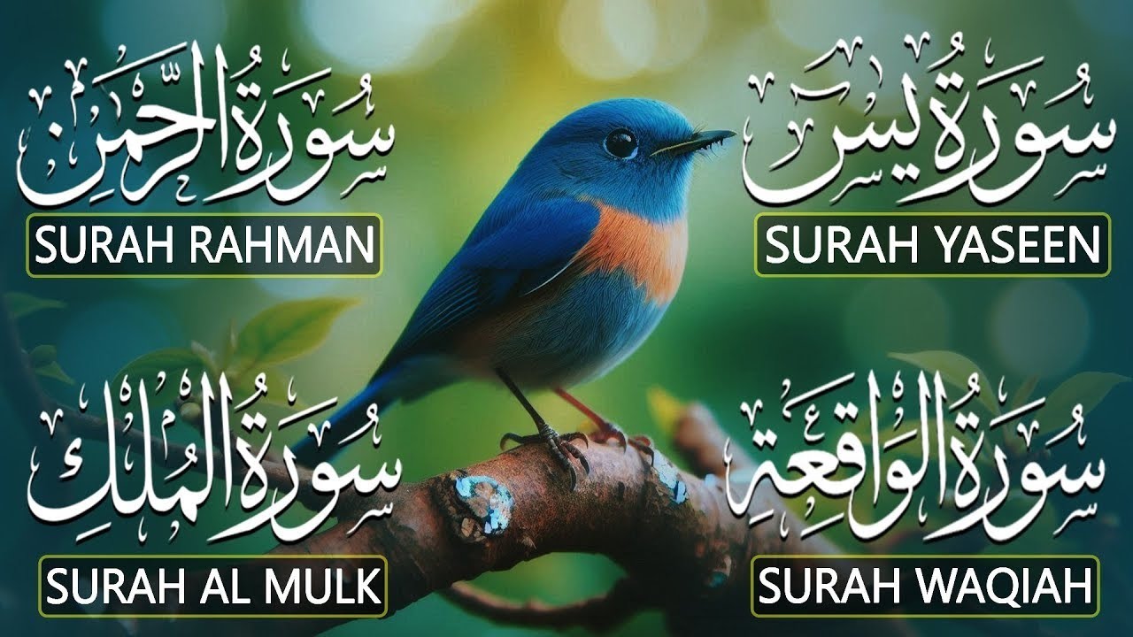Very Nice Voice Surah Yaseen | Surah Rahman | Surah Waqiah | Surah Mulk l Reciter Ashraf Hussain