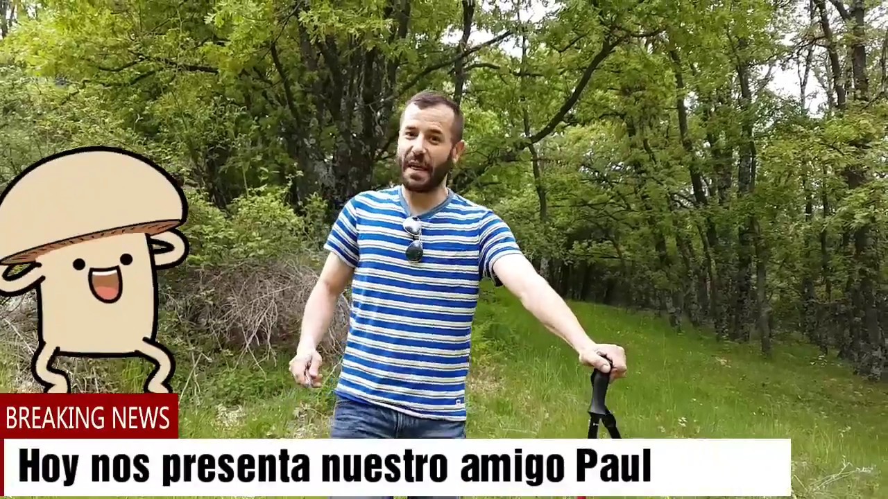 Que pasa en Madrid?Marzuelo,Pinicolas,aereus,reticulados todo en la misma semana!!!!