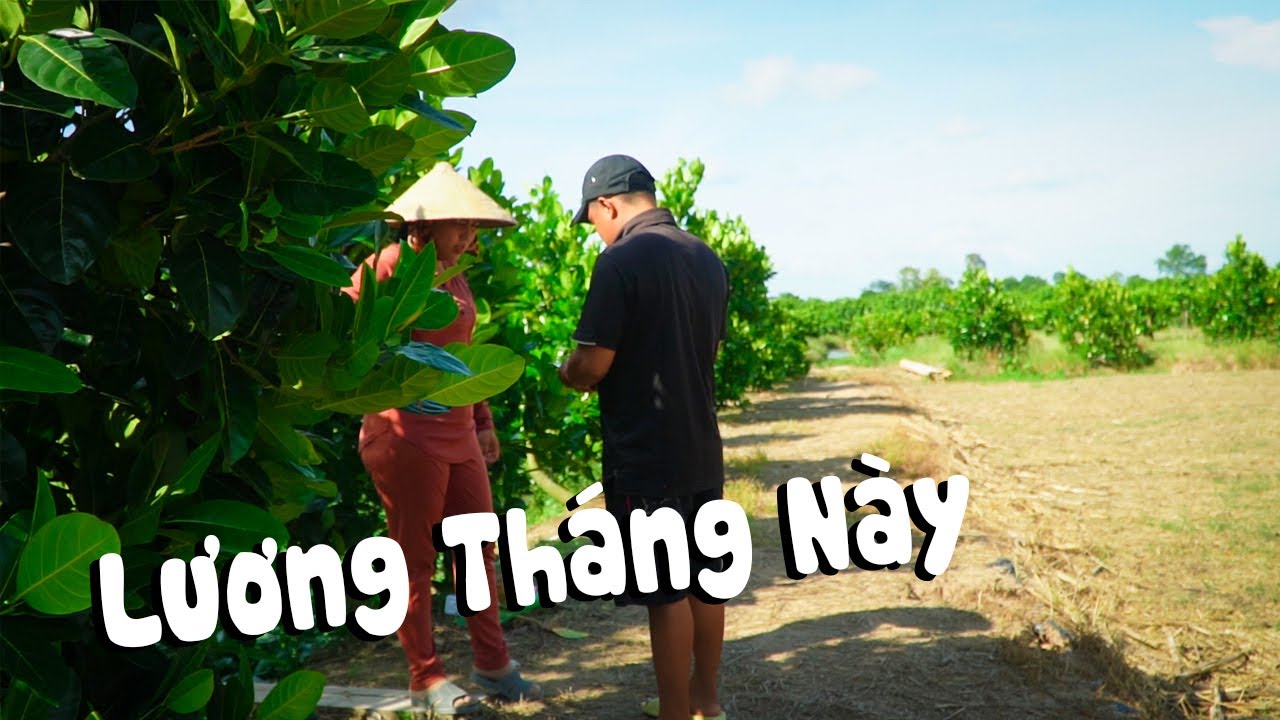 Lương Tháng Này #videogiaitri #vochongson #nguyenhuyvlog